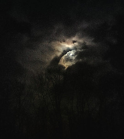 Autumn Moonlight Sip n' Stroll at the StillHouse