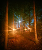 Mid Summer's Full Buck Moon Sip n' Stroll